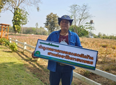 กลุ่มส่งเสริมและพัฒนาธุรกิจสหกรณ์ เชื่อมโยงสินค้าสับปะรด ... พารามิเตอร์รูปภาพ 1